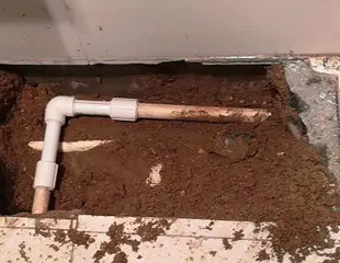 岳阳测漏水哪家好